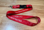 High Visibility Lanyards - 10 Pack